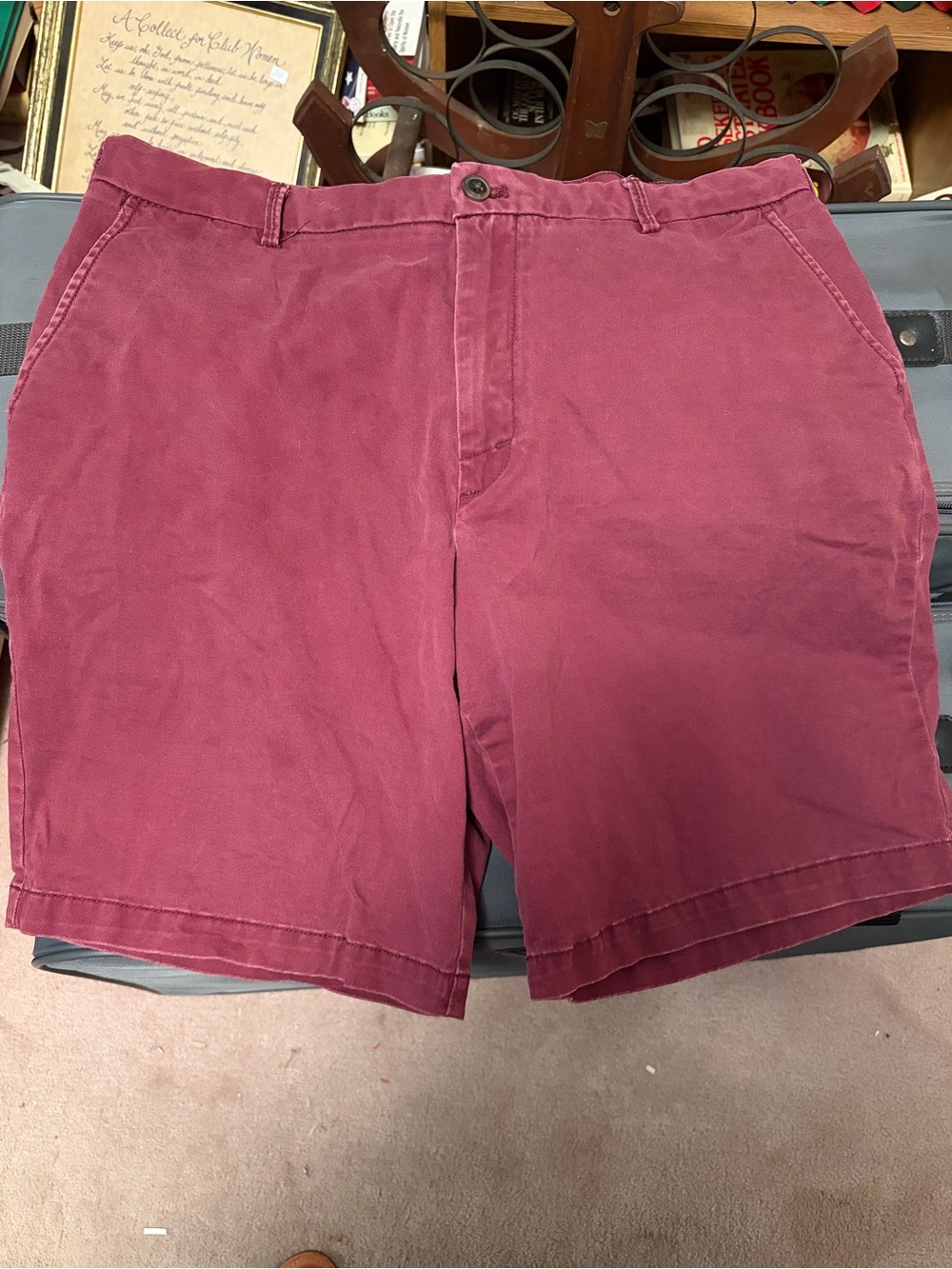 Izod Men's Flat Front Chino Shorts in Wine